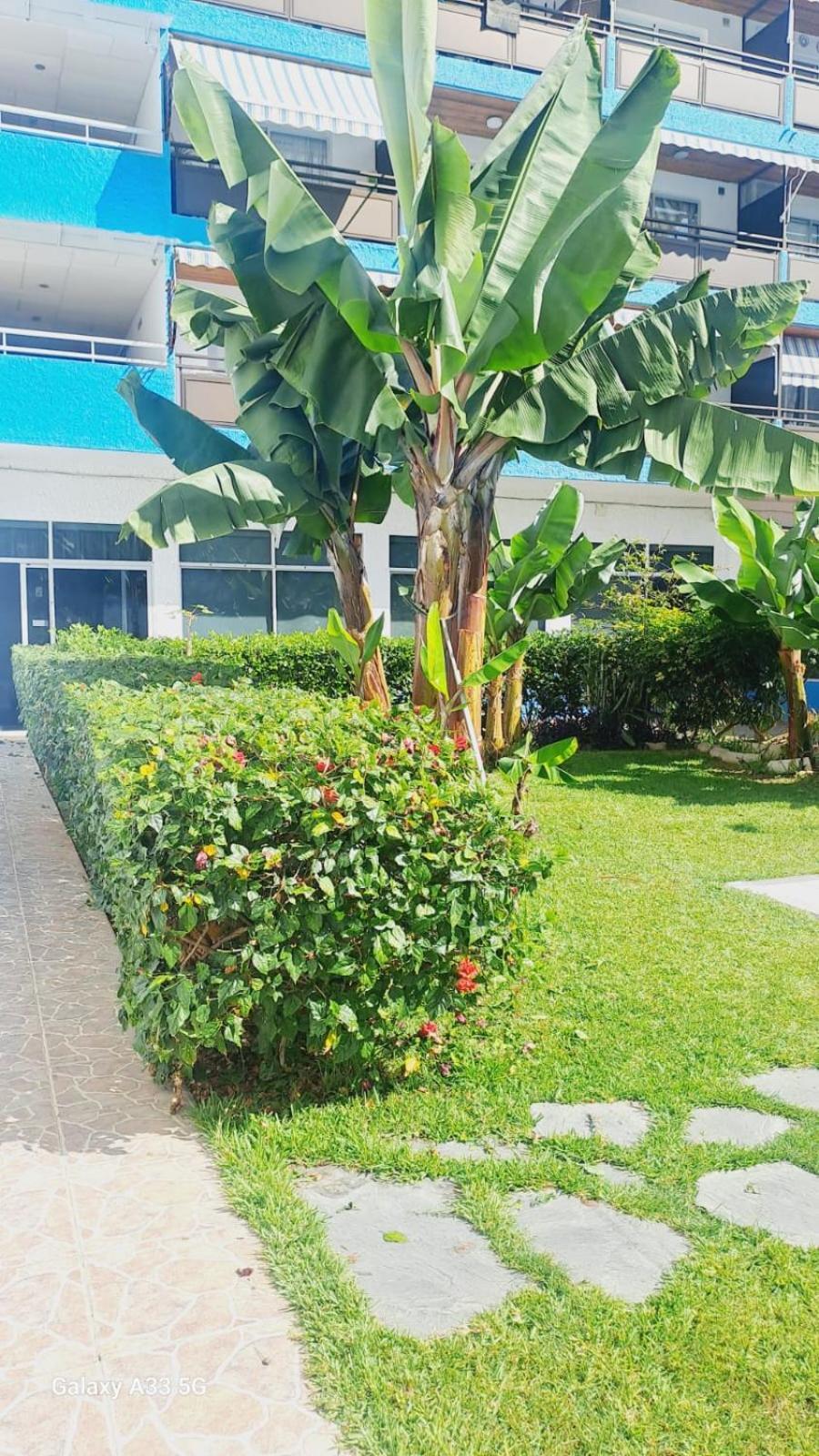 Estudio Playa Jardin Puerto de la Cruz  Exterior foto