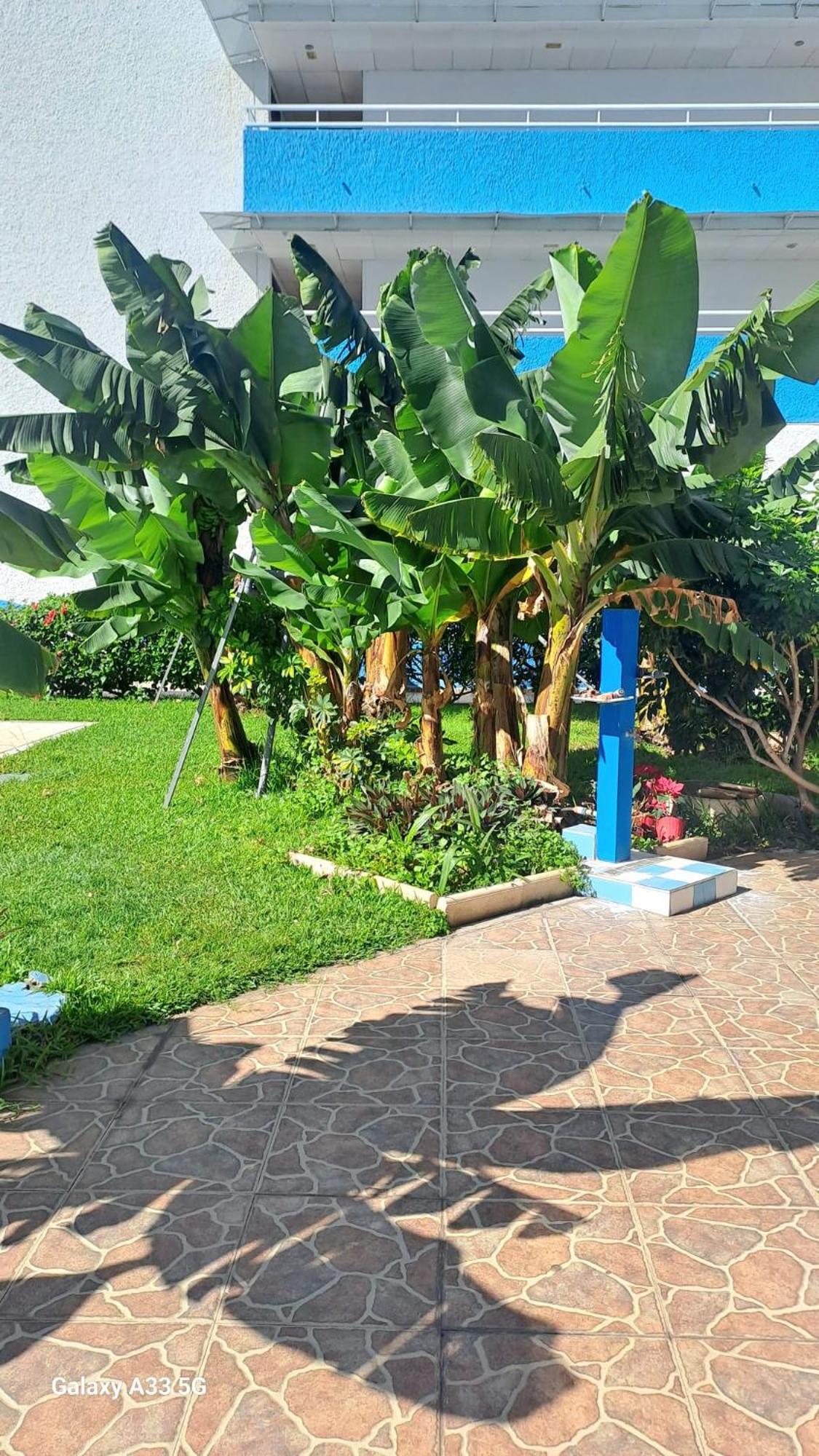 Estudio Playa Jardin Puerto de la Cruz  Exterior foto